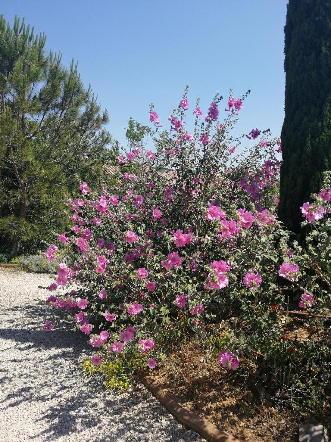 Gite Le Mas De Molines Vogue Dış mekan fotoğraf