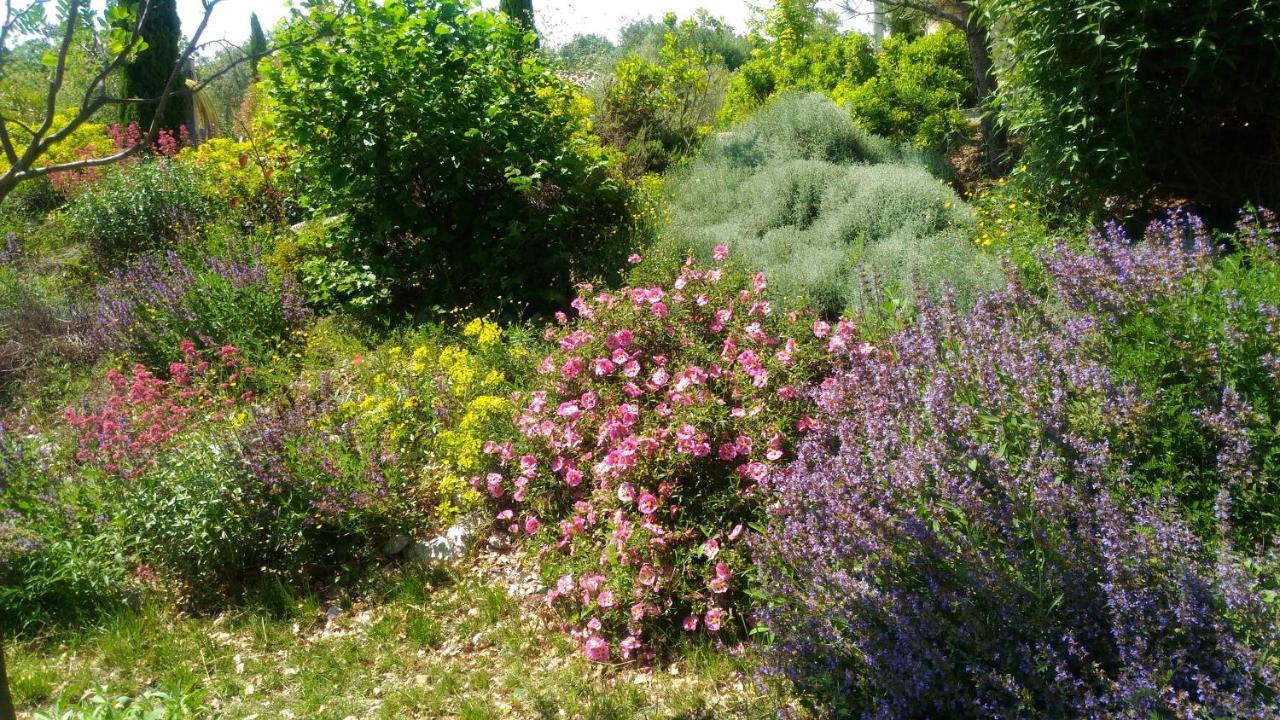 Gite Le Mas De Molines Vogue Dış mekan fotoğraf